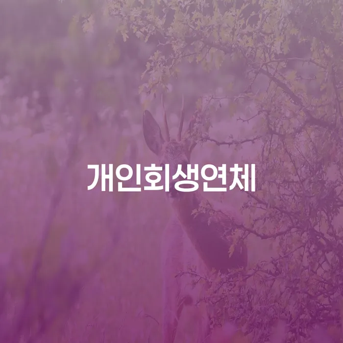 은평구 자영업자소액대출 연체 시 개인회생 문제해결방법 계시다면