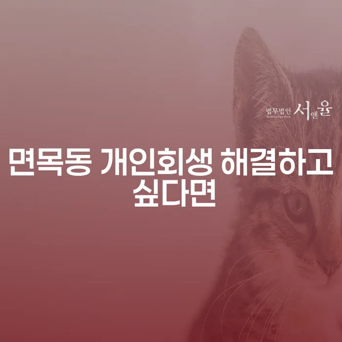 면목동 개인회생 해결하고 싶다면