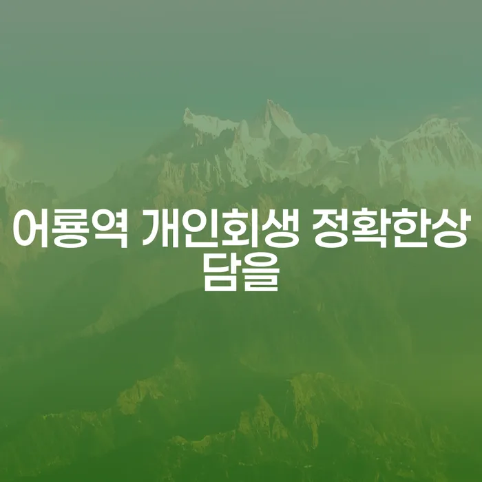 어룡역 개인회생 정확한상담을