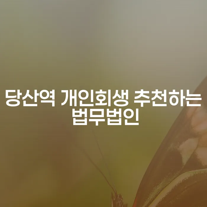 당산역 개인회생 추천하는 법무법인