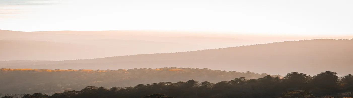 법무법인 서앤율