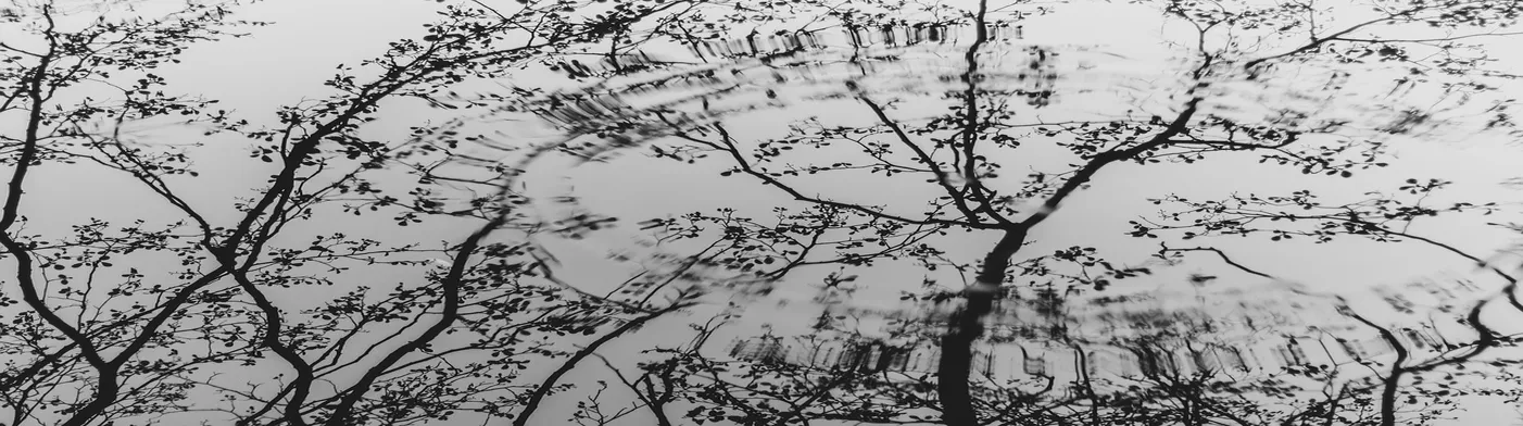 법무법인 서앤율