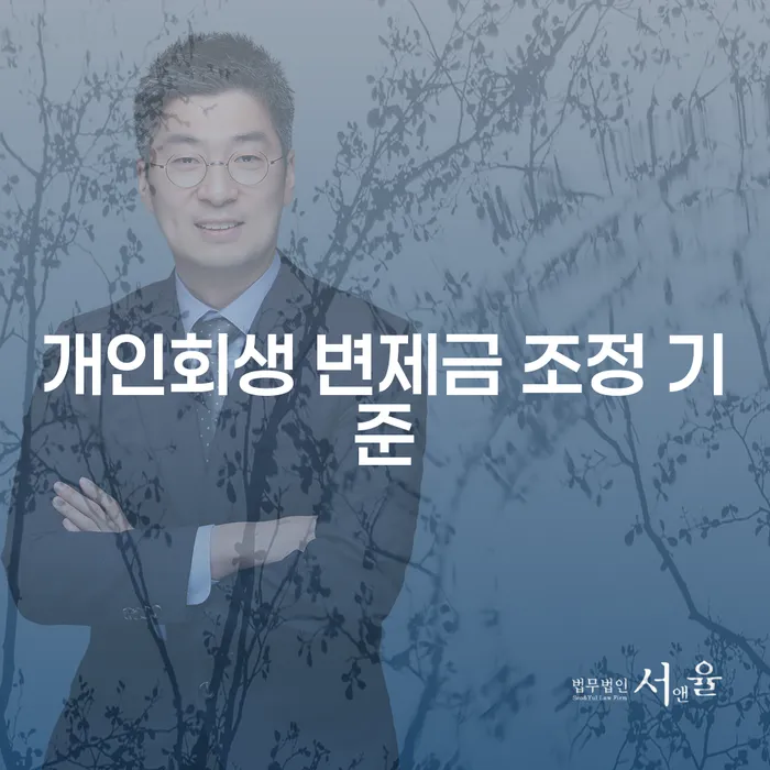 개인회생 변제금 조정 기준: 어떻게 해야 할까요?