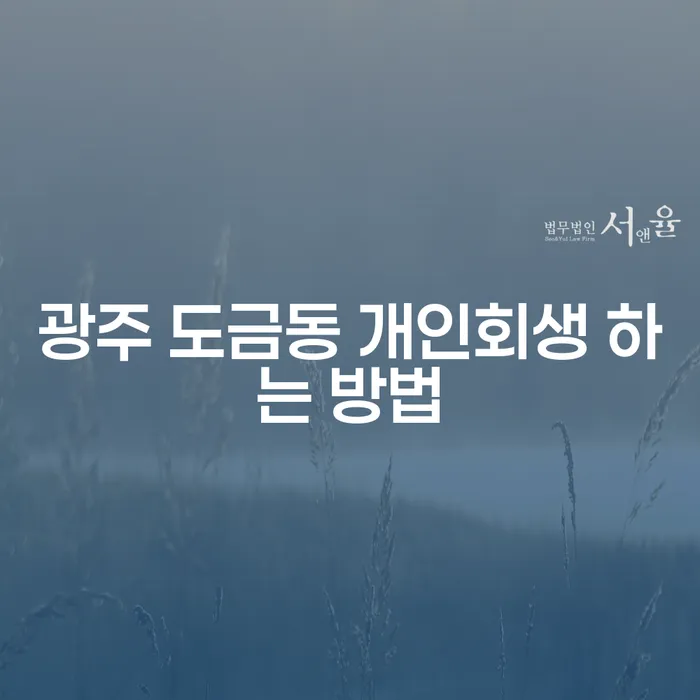 광주 도금동 개인회생 하는 방법, 어떻게 해야 할까요?