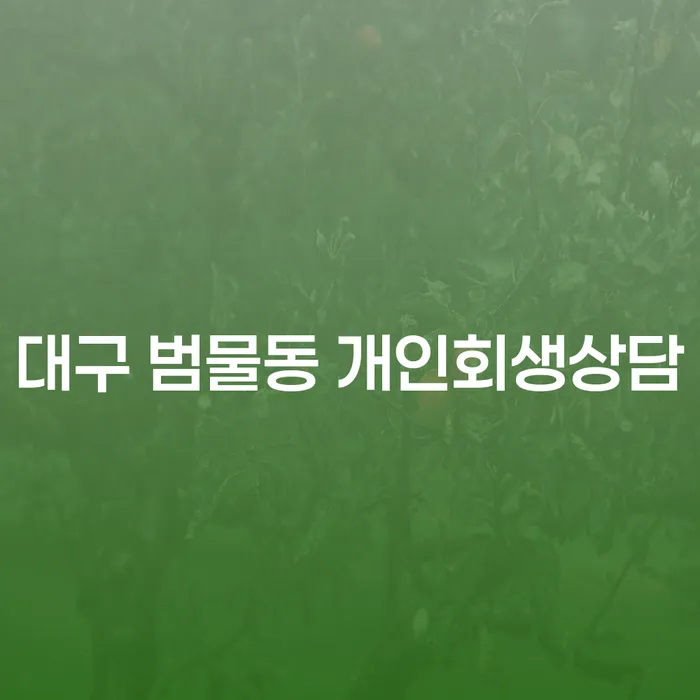 대구 범물동에서 개인회생 상담을 받아야 할까요?