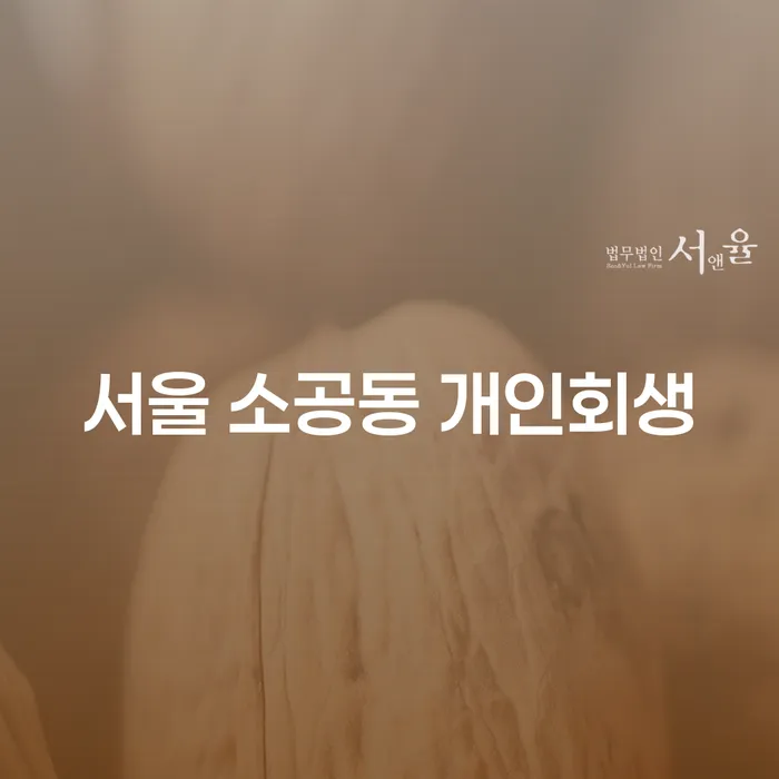 서울 소공동 개인회생 신청, 어떻게 해야 할까요?