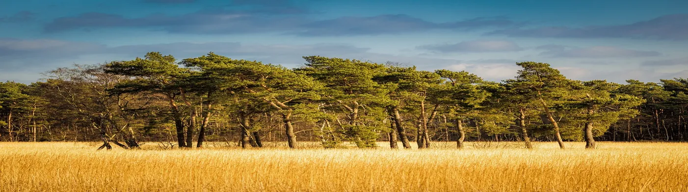 법무법인 서앤율