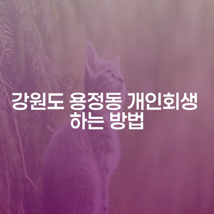 강원도 용정동에서 개인회생을 어떻게 시작할 수 있을까요?