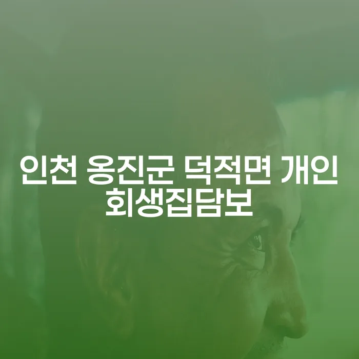 인천 옹진군 덕적면에서 개인회생집담보와 안산채권추심을 통한 채무 해결 방법은?