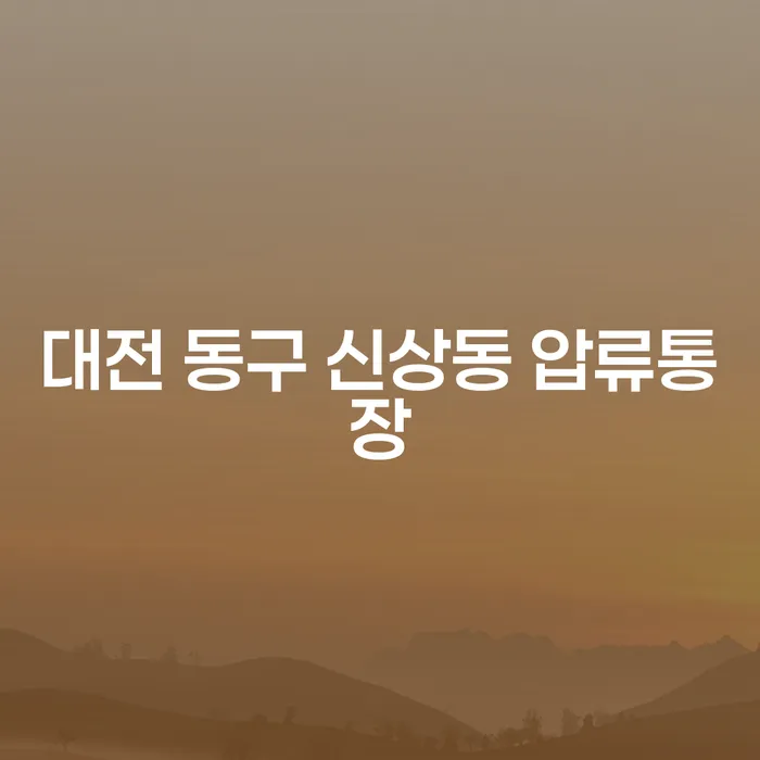 대전 동구 신상동 압류통장과 주식대출 3000만원 개인회생을 위한 현명한 선택은?