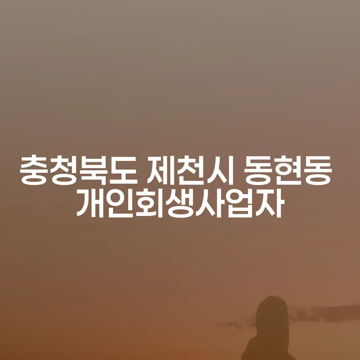 개인회생과 개인파산: 충청북도 제천시 동현동과 해운대 사례를 통한 이해
