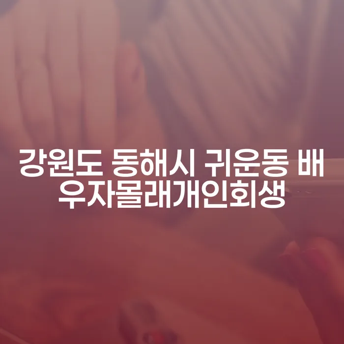 배우자도 모르게 개인회생을 할 수 있을까요? - 강원도 동해시 귀운동 사례