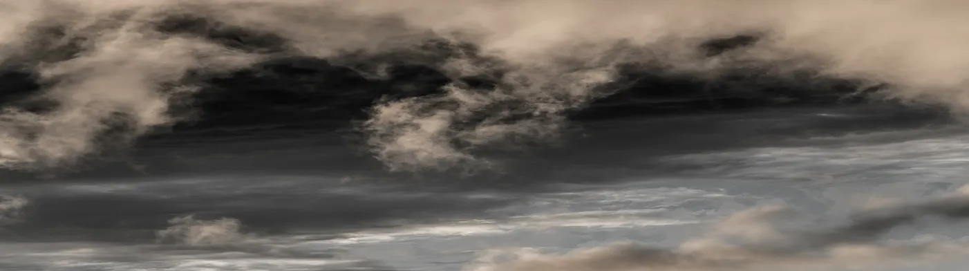 법무법인 서앤율